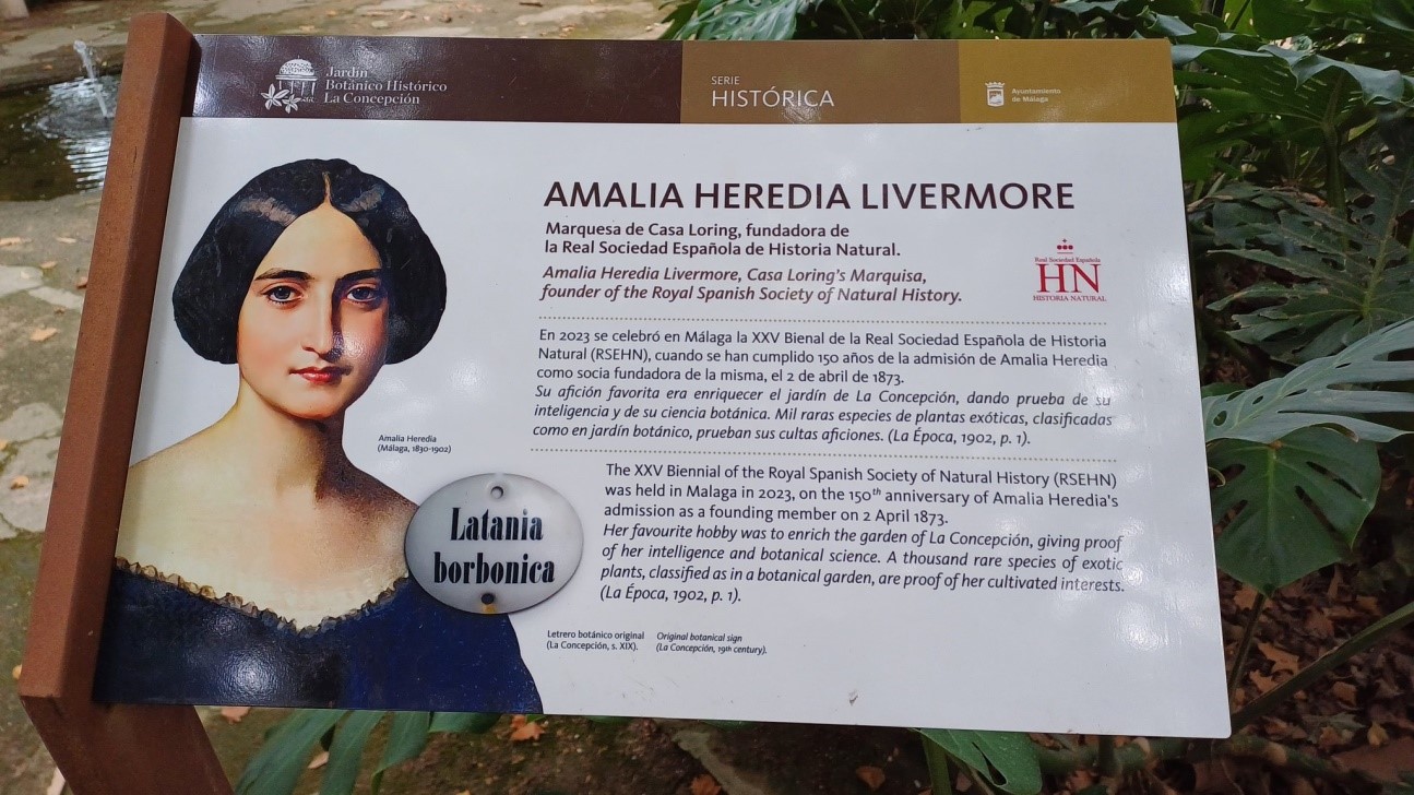 Imagen de la placa conmemorativa a Amalia Heredia Livermore